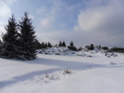 pokrywa-sniezna-chroni-rosliny-przed-zimnem-i-wiatrem