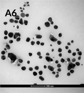 Nanocząstki srebra i ich synteza z wykorzystaniem ekstraktów roślinnych