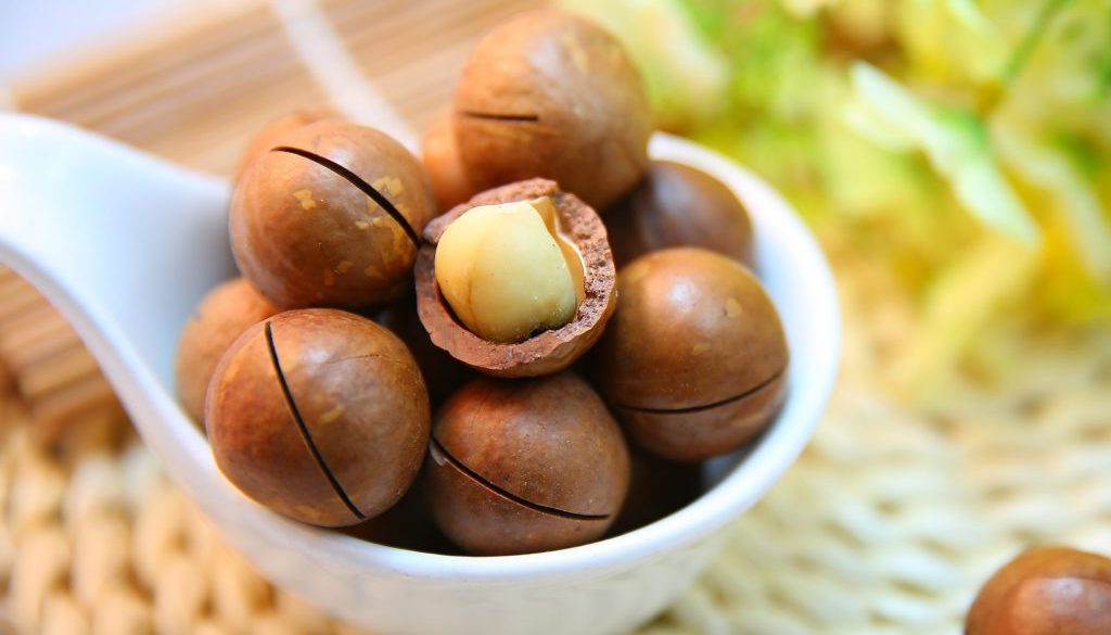 macadamia-nuts-1098170