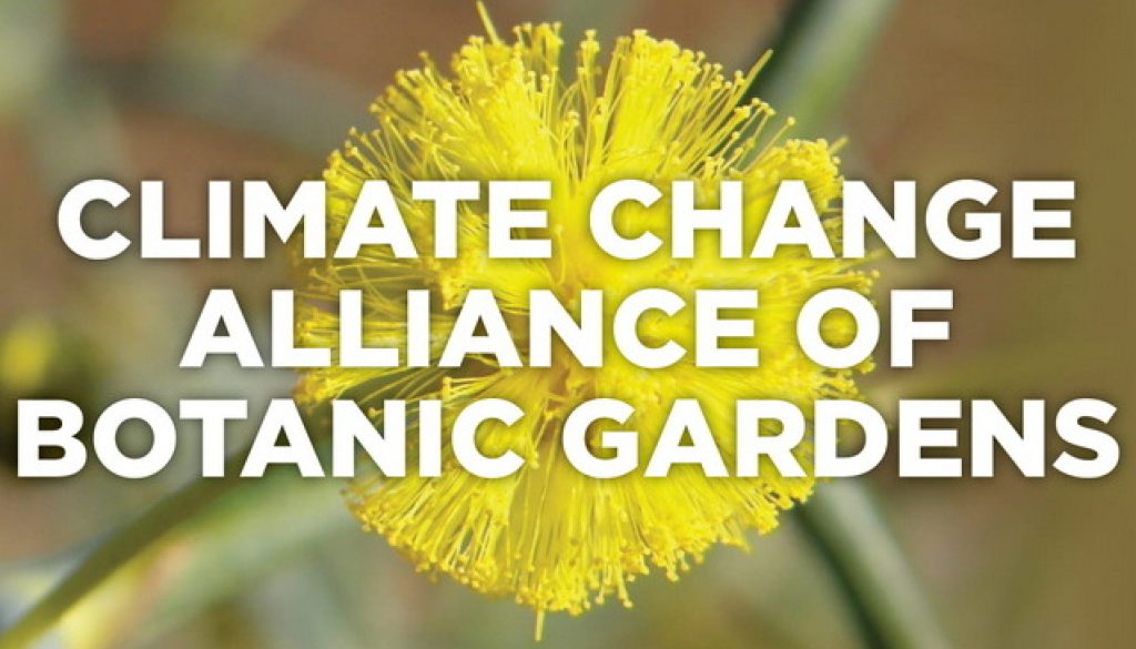 Climate Change Alliance