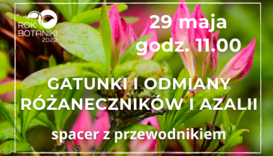 29 Maja Przycisk