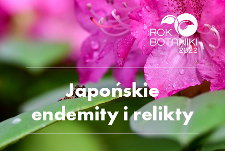 „Japońskie endemity i relikty” – spacer tematyczny, 21 maja godz. 11.00