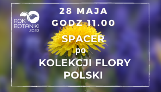 Spacer Kolekcji Flory Polski (3)