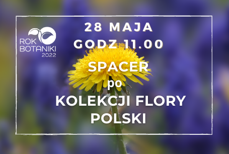 Spacer po Kolekcji Flory Polski