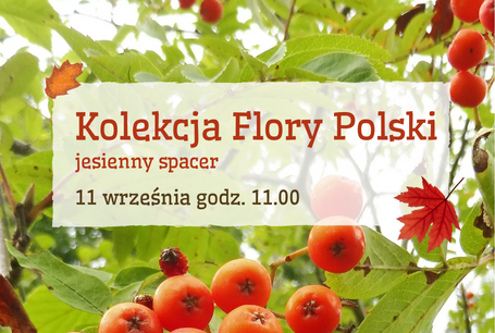 Kolekcja Flory Polski – jesienny spacer z przewodnikiem