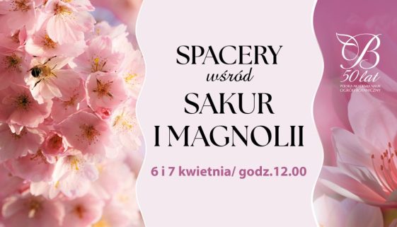 Spacer Sakur I Magnolii FB